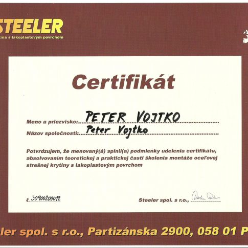 steeler 001